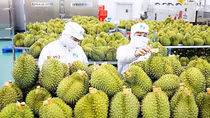 Xuất khẩu hàng hóa dần khởi sắc trong những tháng cuối năm