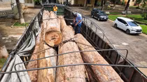 Xe đầu kéo vận chuyển 23 lóng gỗ trái phép ở khu vực biên giới