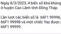 Kiểm tra thông tin loạt biển số “siêu đẹp” ở Đồng Tháp