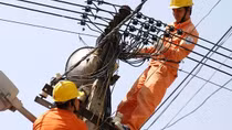 Làm rõ trách nhiệm của nhiều tổ chức, cá nhân thuộc EVN