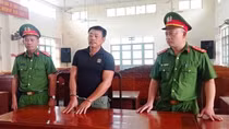 Trộm hơn 4,6 ha rừng keo của người khác để… bán