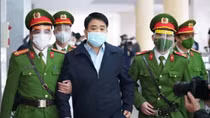 Ông Nguyễn Đức Chung cho người đang trốn nợ trồng cây xanh gây thiệt hại gần 35 tỷ đồng