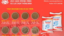 Sao Mai Super Feed - Kiến tạo dấu ấn trên thị trường thức ăn thủy sản
