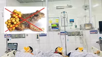 3 mẹ con ngộ độc sau khi ăn thịt và trứng cóc