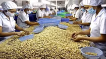 Cần xây dựng hàng rào thuế quan với hàng nhập khẩu để tạo sự công bằng