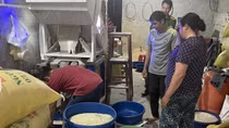 Phát hiện hộ kinh doanh gạo "Séng cù xanh" nhuộm từ lá dứa