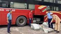 Chặn đường đi của gần nửa tấn lòng lợn bốc mùi hôi thối