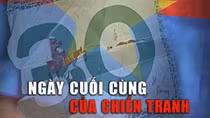 Tuần phim kỷ niệm ngày thống nhất đất nước và 80 năm “Đề cương về Văn hóa Việt Nam”