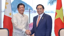 Việt Nam sẵn sàng cung cấp gạo ổn định với giá thành phù hợp cho Philippines