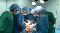 Cứu sống bệnh nhân sốc tim nặng bằng kỹ thuật ECMO