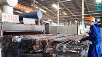 113,2 nghìn doanh nghiệp rút lui khỏi thị trường
