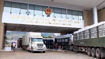 Một số vấn đề cần lưu ý khi Trung Quốc mở cửa