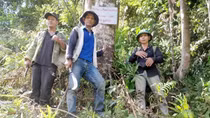 Hiệu quả bền vững khi cộng đồng tham gia bảo vệ và phát triển rừng