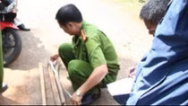 Bị đánh tử vong khi dẫn con đi chơi