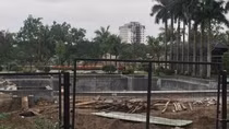 Hải Phòng chỉ đạo xử lý dứt điểm 39 vụ vi phạm về đê điều