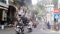 Những cánh cò chợt tới trong mơ