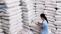 Xử lý hàng trăm vụ vi phạm với số tiền hơn 5,5 tỷ đồng