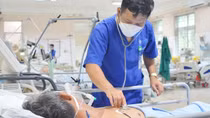 Hai người hôn mê sâu vì ăn so biển