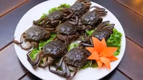 Sán làm tổ trong phổi người đàn ông ăn gỏi cua sống