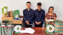Triệt phá đường dây khép kín "quy trình" trồng - đóng gói - tiêu thụ cần sa