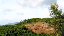 Phản hồi bài viết về xã tái nghèo, người dân không được hưởng lợi từ rừng