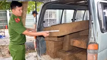 Nguy cơ từ ôtô hết “đát” gắn biển số rởm chở gỗ lậu