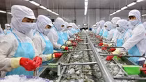 Dự báo xuất khẩu thủy sản sẽ khả quan hơn trong những tháng cuối năm