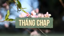 Tháng Chạp