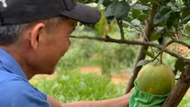 Nhiều cách làm hay giúp giảm thiểu rác thải nhựa ra môi trường