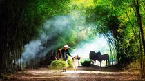 Nắng nóng "thiêu đốt" Bắc và Trung Bộ, Hà Nội trời ngột ngạt