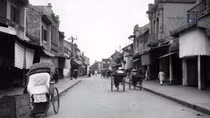 Cây bàng lá đỏ chợ xưa