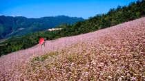 Tây Bắc - nơi thơ nhạc cất cánh