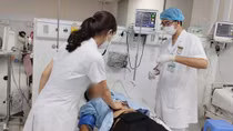 Ăn trứng cóc, hai mẹ con phải nhập viện cấp cứu