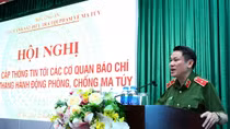 Mở rộng các chuyên án ma tuý, bắt giữ các đối tượng chủ mưu, cầm đầu