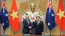 Việt Nam luôn coi trọng và đánh giá cao vai trò của Australia