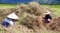 Nhiều chương trình, dự án giúp người dân miền núi A Lưới thoát nghèo