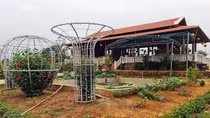 Tiếp cận dinh thự “khủng” trên đất chưa có sổ đỏ của phó bí thư huyện uỷ đất Quảng