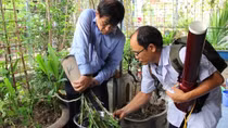 Hà Nội thêm 59 ổ sốt xuất huyết trong một tuần, nguy cơ bùng phát thành dịch