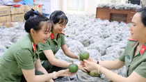 Công an các đơn vị hỗ trợ nông dân tiêu thụ hơn 60 tấn cam sành