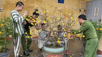 Ấm áp nẻo về đường thiện