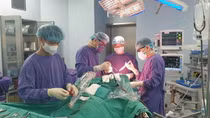 Cảnh báo biến chứng xuất huyết nội sọ nặng do sốt xuất huyết