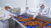 Tận dụng cơ hội từ các FTA để thúc đẩy xuất khẩu