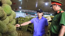 Lễ hội sầu riêng - cơ hội quảng bá nông sản và văn hoá du lịch
