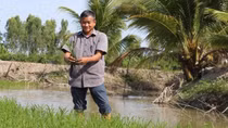 Thay đổi tư duy sản xuất trong nông nghiệp