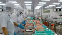 Xuất khẩu thủy sản tăng mạnh ở những thị trường chính