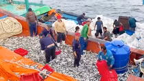 Những người đón xuân trên biển