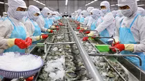 Xuất khẩu nông - lâm - thuỷ sản sang Nga tạm dừng