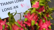Lại nỗi buồn “giải cứu” nông sản
