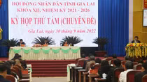 Cựu chủ tịch UBND tỉnh Gia Lai thôi làm đại biểu HĐND
