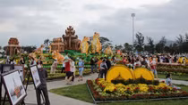 “Gia đình hổ” ở Bình Định thu hút đông đảo người dân đến tham quan, check-in